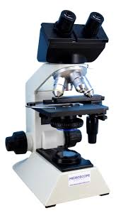 Microscope ch olympus