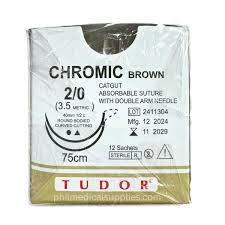 Chromic 2/0 [r/body]