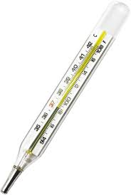 Clinical thermometer