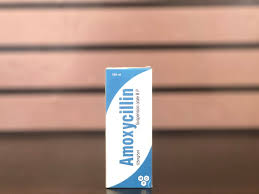 AMOXYCILLIN ORAL SUSP