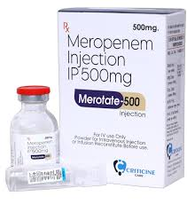 MEROPENEM INJ 500MG