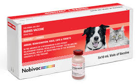 ANTI-RABIES 1,S
