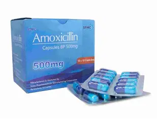 AMOXICILLIN 500 BLISTER LOCAL
