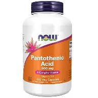 PANTOTHENIC ACID 500MG