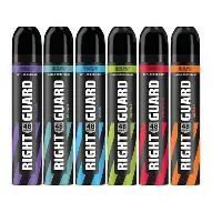 RIGHT GUARD SPRAY
