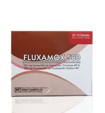 FLUXAMOX CAPS 500MG