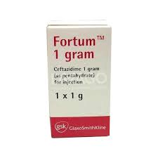 FORTUM 1G INJ