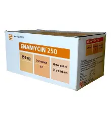 ENAMYCIN TABS