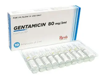 GENTAMYCIN INJ 80MG/2ML