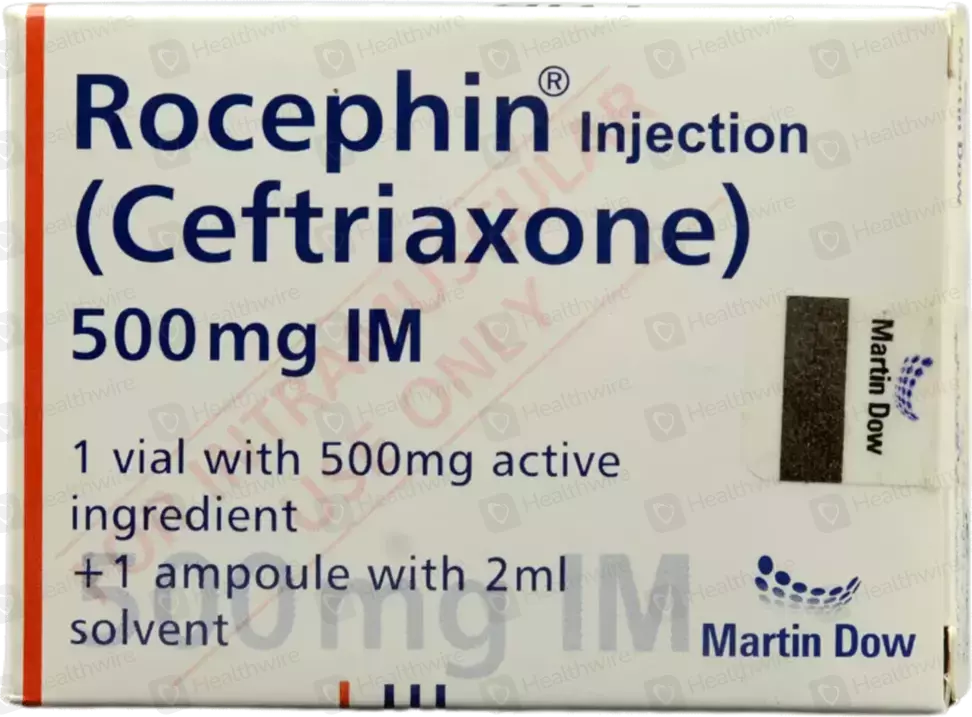ROCEPHIN INJ 500MG IM