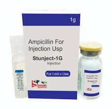 AMICILLIN INJECTION
