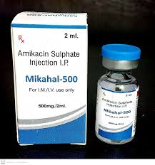 AMIKACIN 500MG INJ