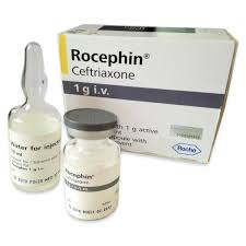 ROCEPHIN INJ 1GRAM IV